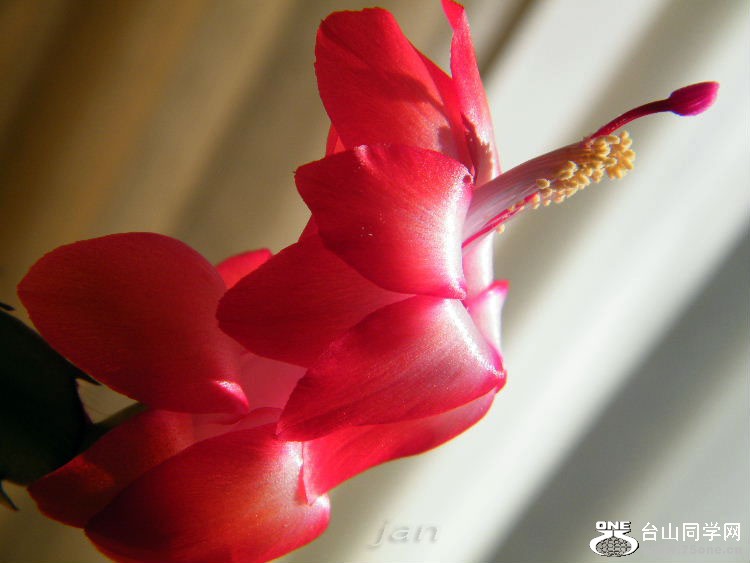 DSCF7354=.jpg