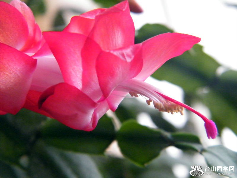 DSCF6353.JPG