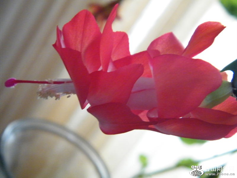 DSCF6355.JPG