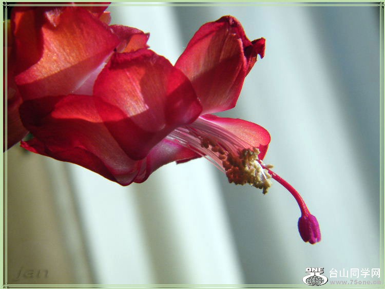 DSCF7351=0.jpg