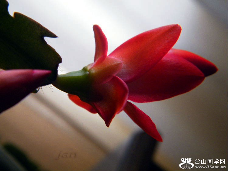 DSCF7290=.jpg