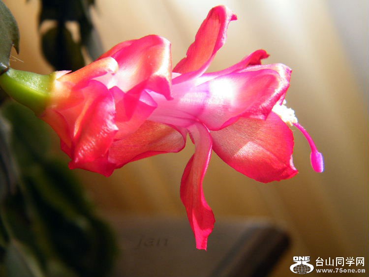 DSCF7320=.jpg
