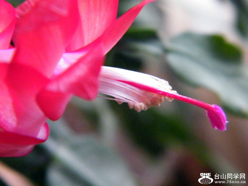 DSCF6354.JPG