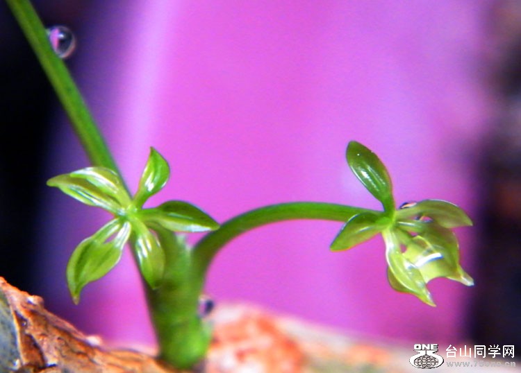 DSCF6503.JPG
