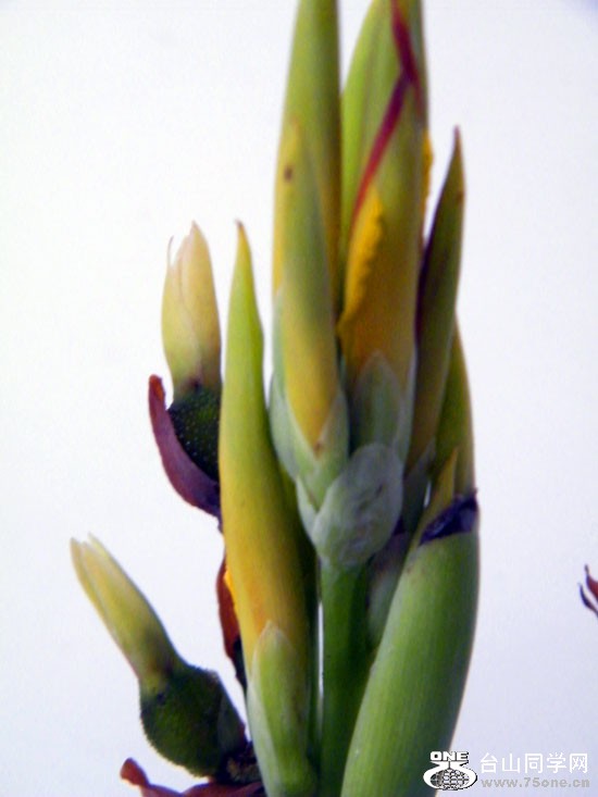 DSCF7657=.jpg