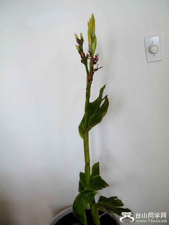 DSCF7656=.jpg