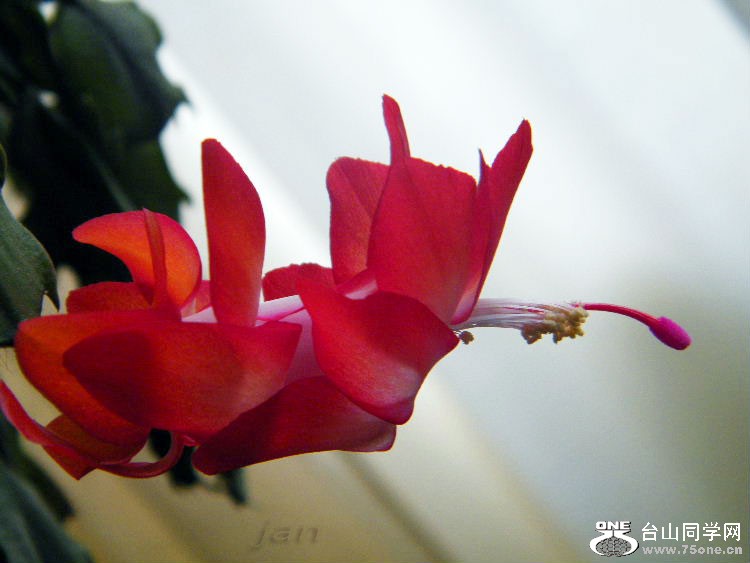 DSCF7289=.jpg