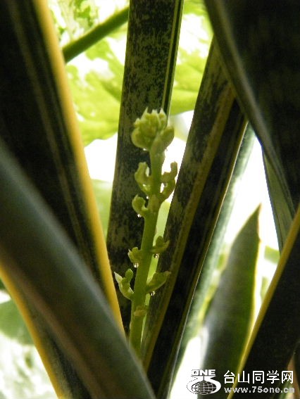 DSCF7318.JPG
