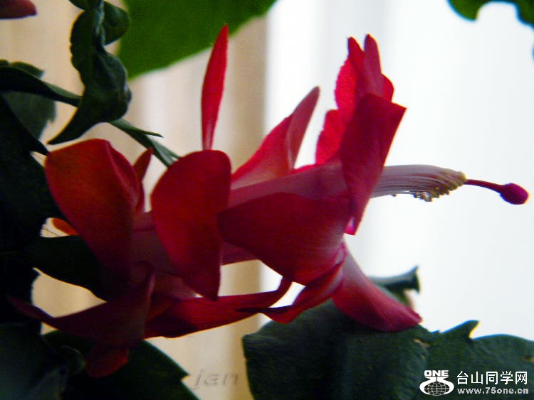 DSCF7288=.jpg