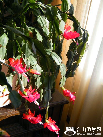 DSCF7356=.jpg