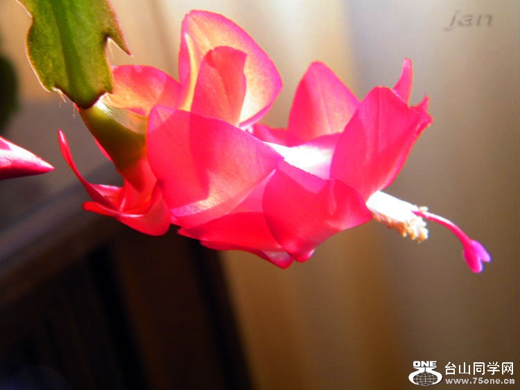 DSCF7319=.jpg