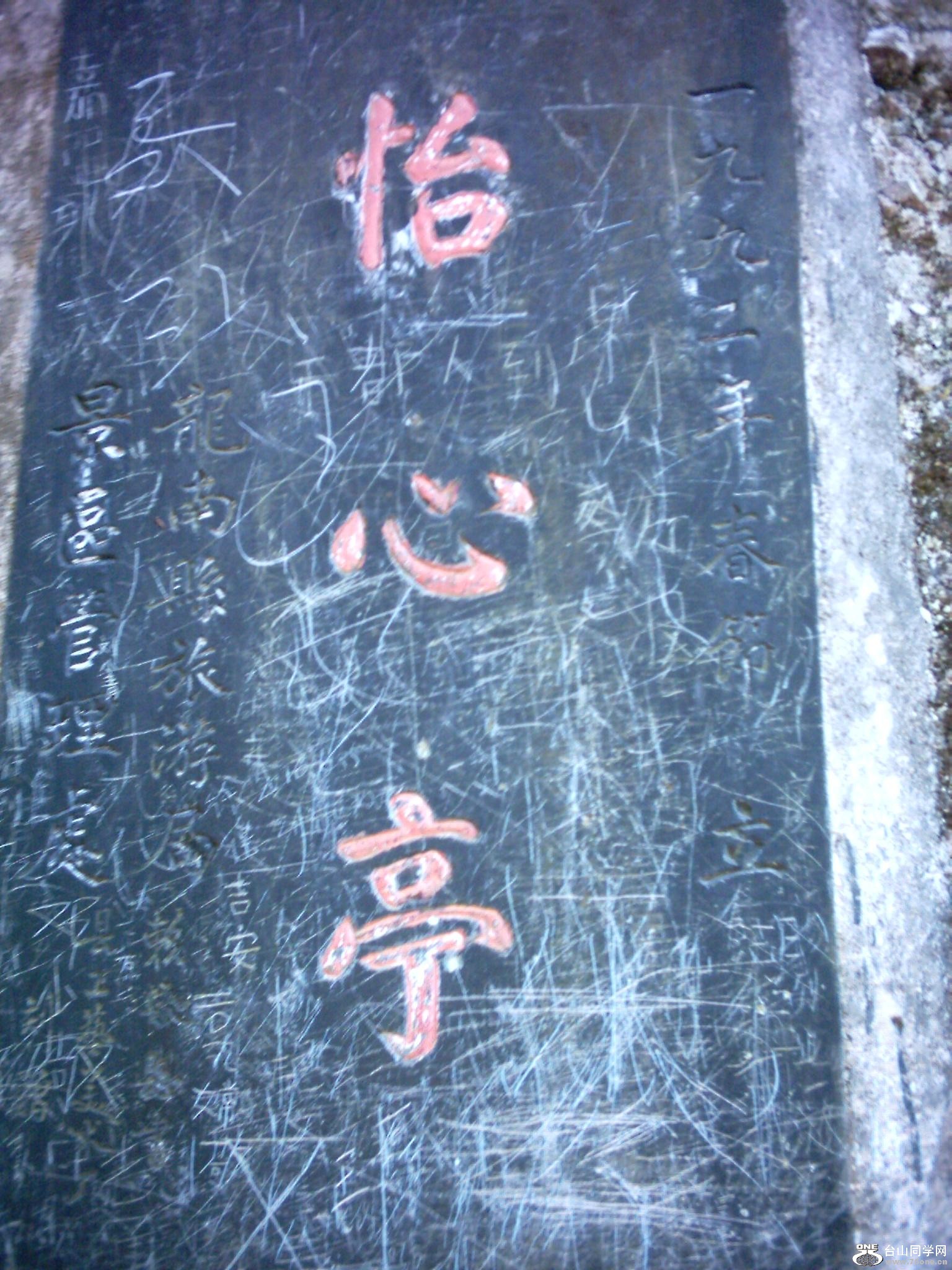 DSC_0224.JPG