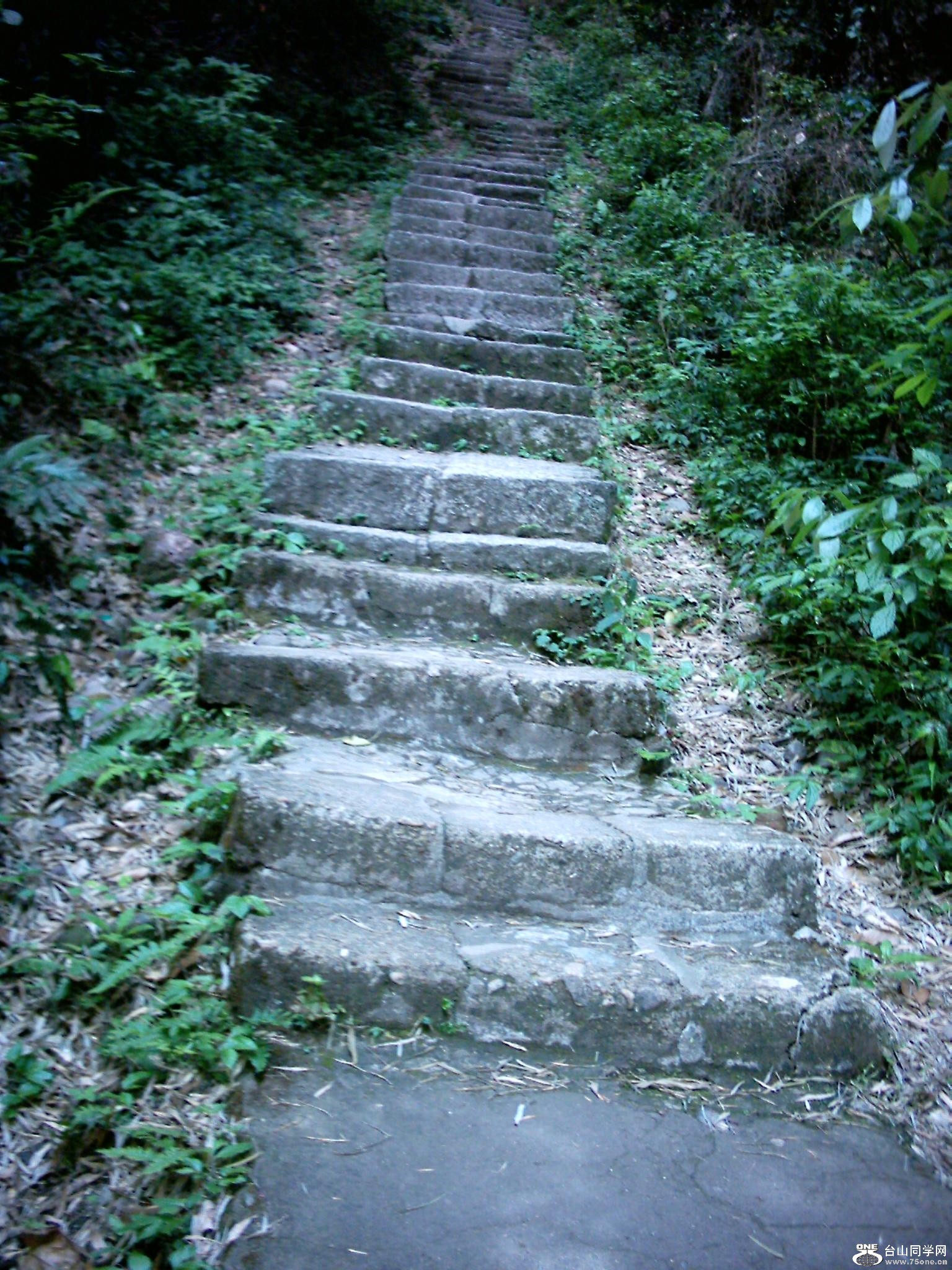 DSC_0226.JPG