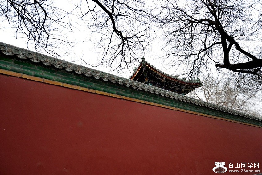 Ƭ 043.jpg