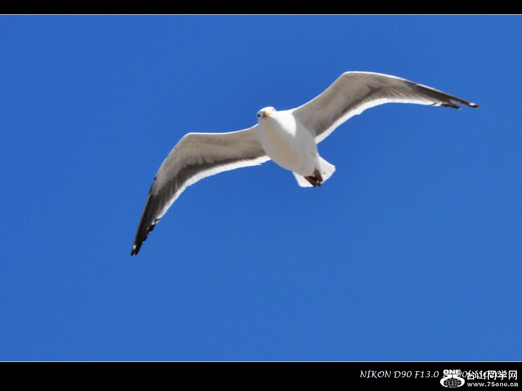 DSC_5962.jpg