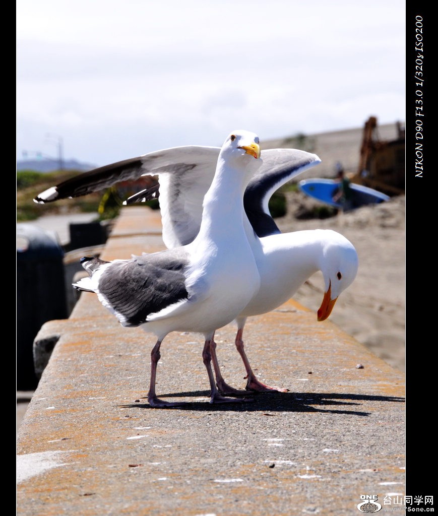 DSC_5912.jpg