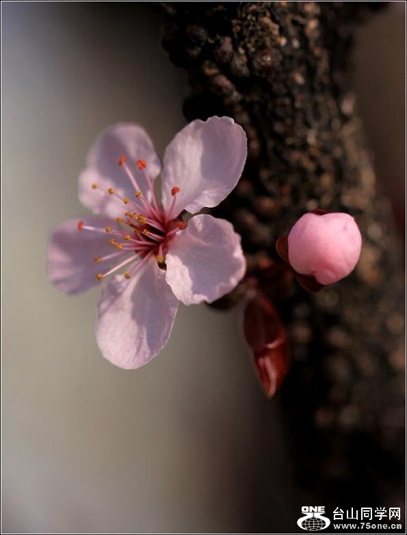 �}�u -IMG_427733.jpg