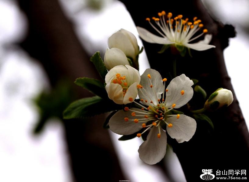 �}�u -IMG_5551xxss.jpg