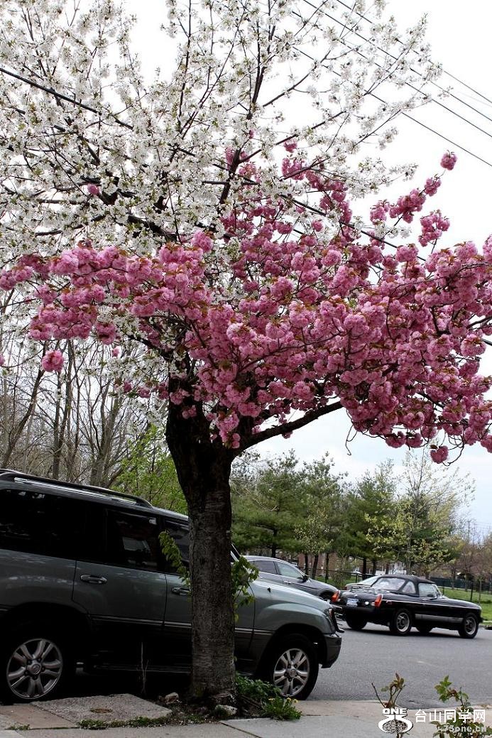 �}�u -IMG_6020aa.jpg