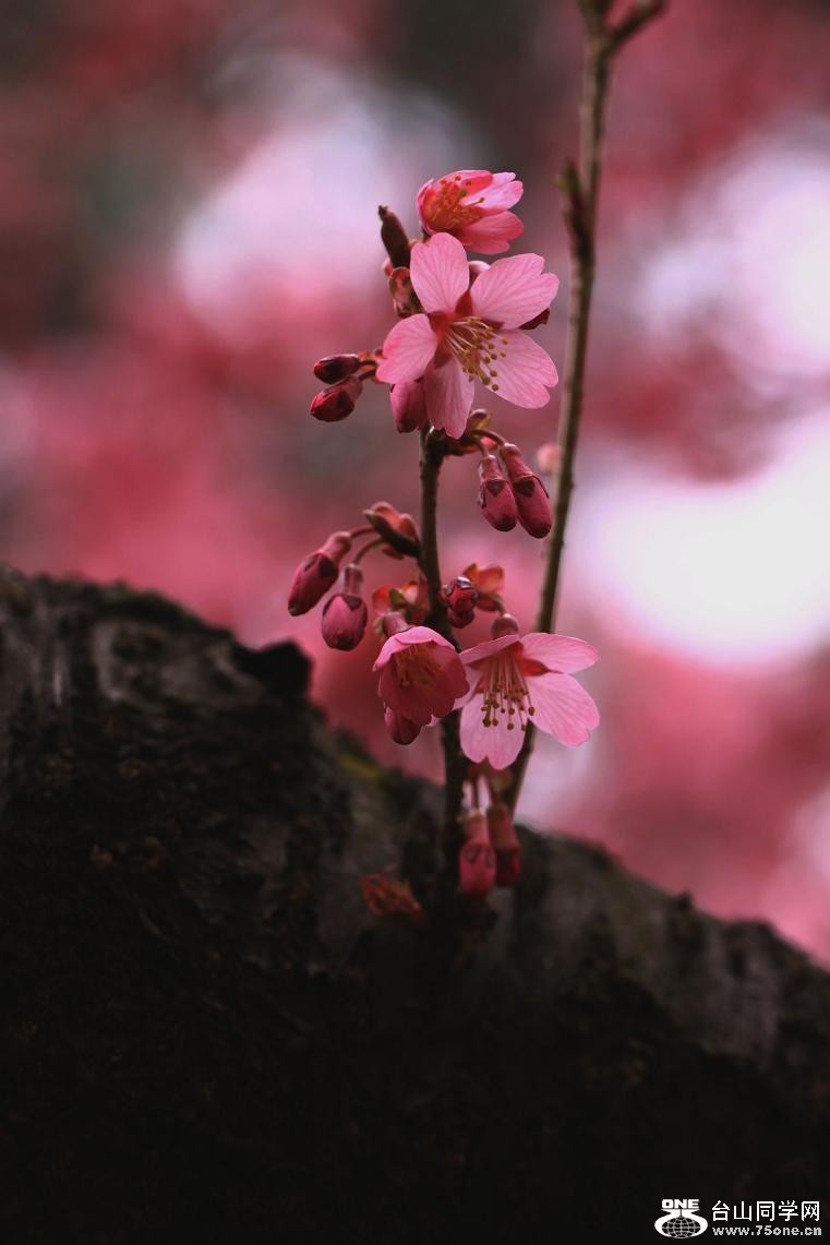 �}�u -IMG_4166aa.jpg