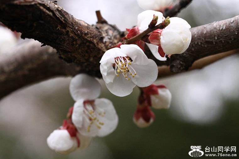 �}�u -IMG_4114.jpg