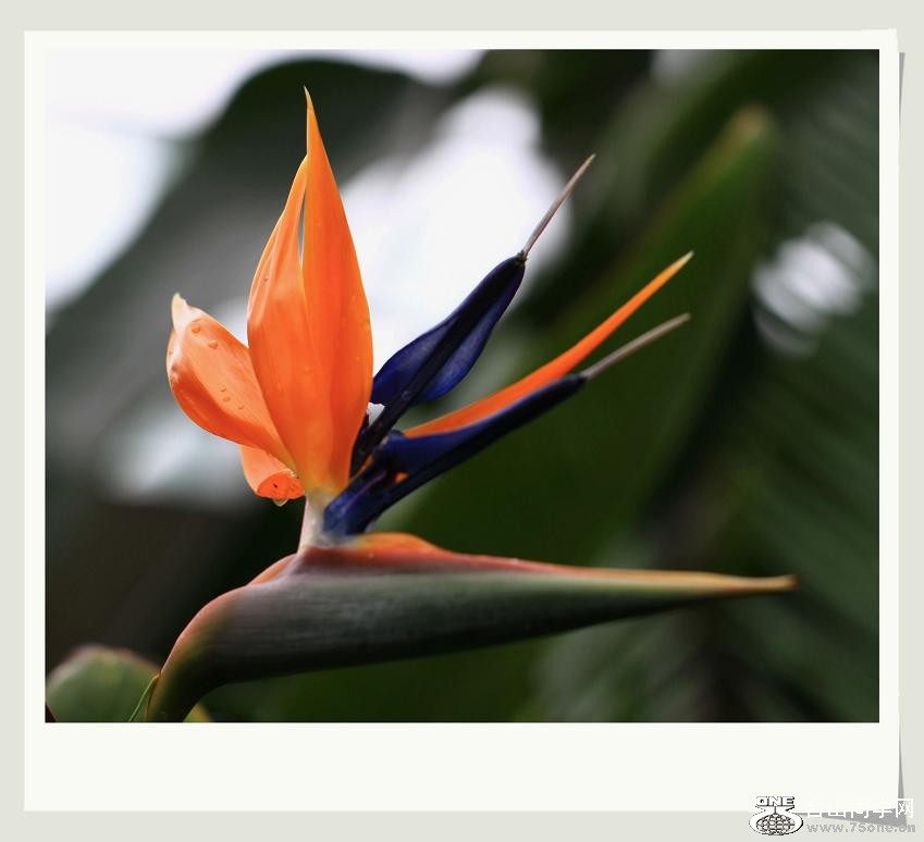 �}�u -IMG_4198aaaaf.jpg