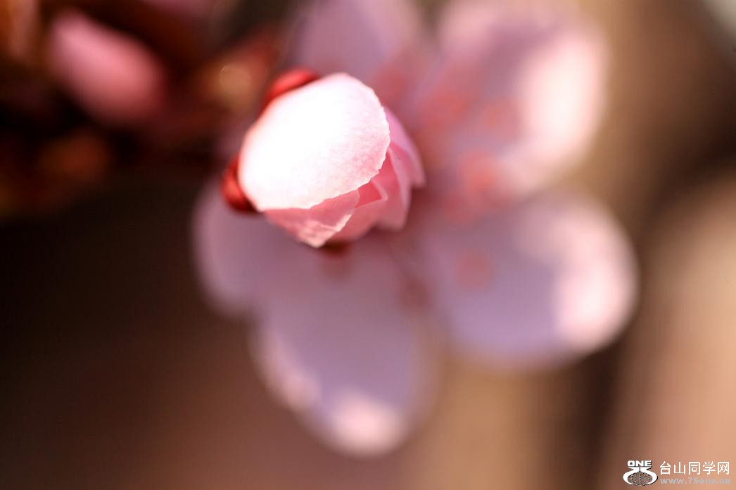 �}�u -IMG_4334aa.jpg