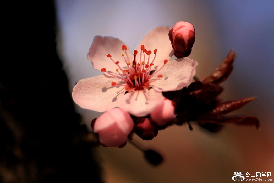 �}�u -IMG_4296aa.jpg