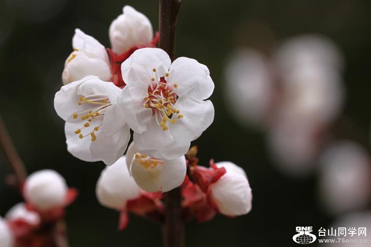 �}�u -�}�u -IMG_4133.jpg