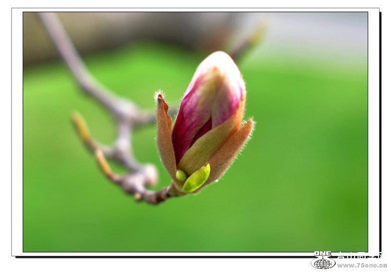 ���ֻ����� 469--1--2.jpg