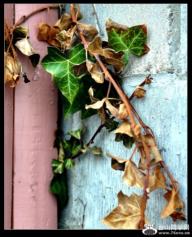 ���ֻ����� 474--1--2.jpg