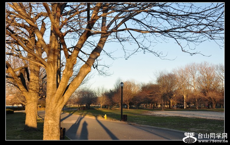 ����ģ�2��6�գ�ŦԼ��µ���� 143--3.jpg