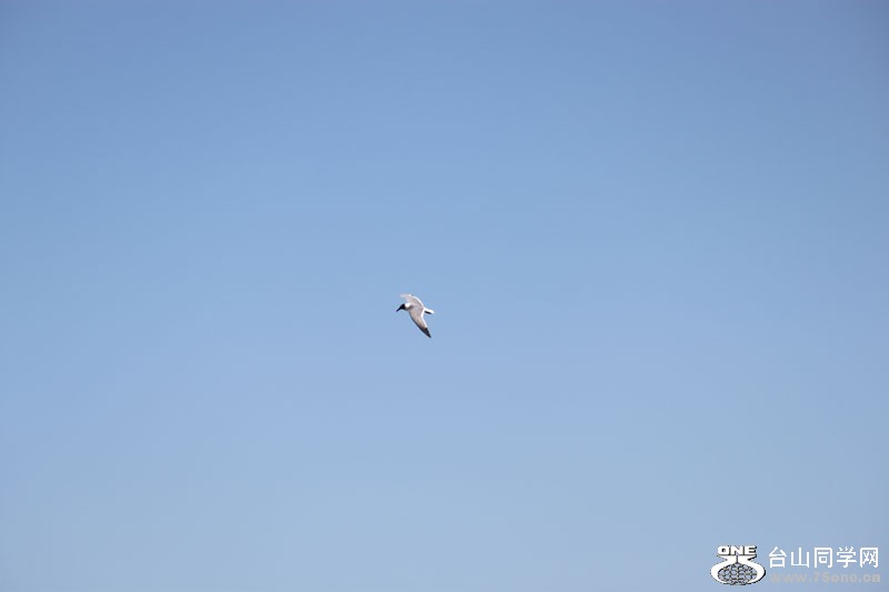 3183.jpg