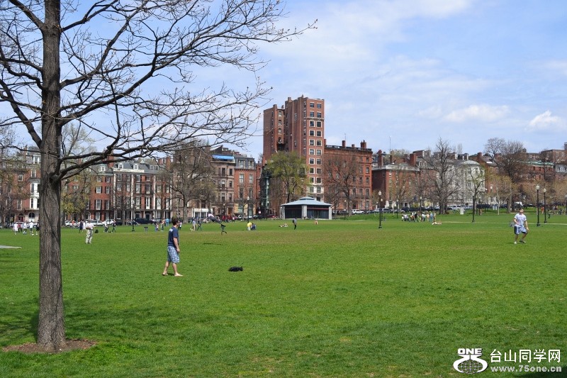 BC 052 (800x533).jpg