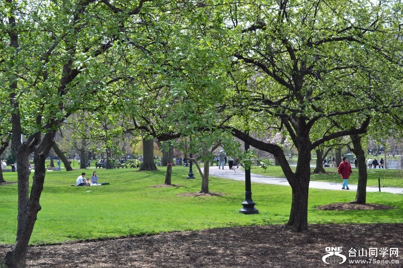 BC 055 (800x533).jpg