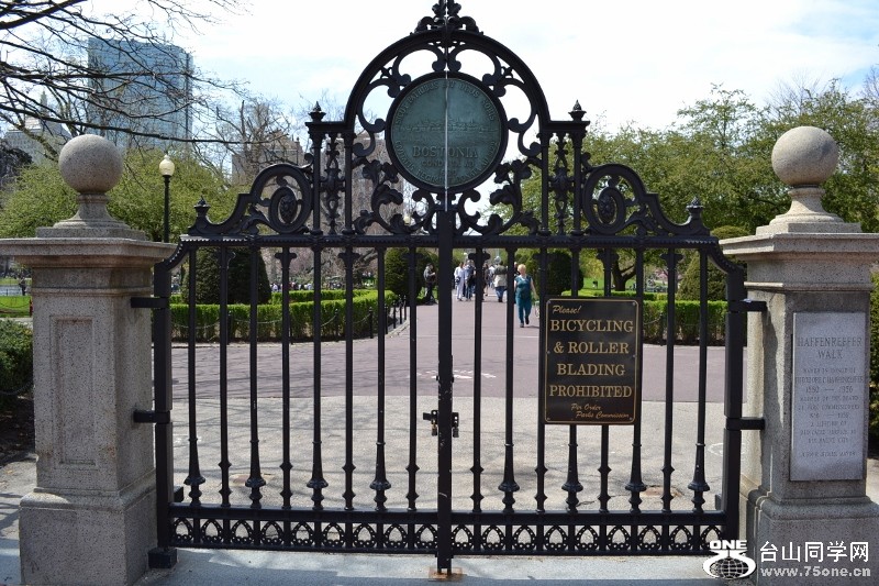 BC 056 (800x533).jpg