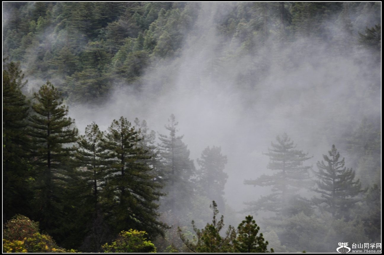 DSC_6795.jpg