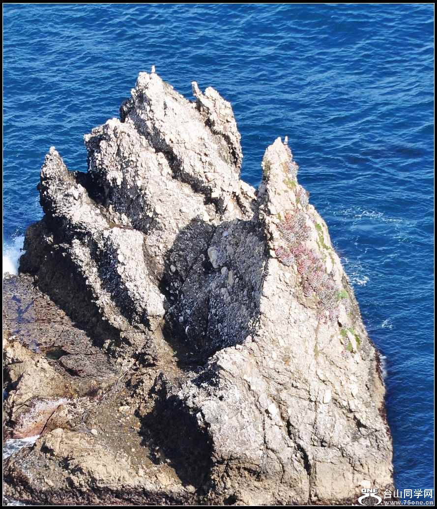 DSC_7236.jpg