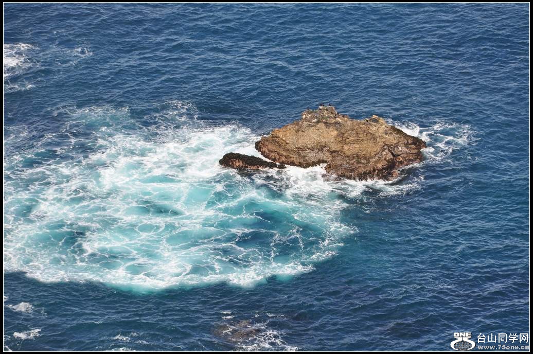 DSC_7229.jpg