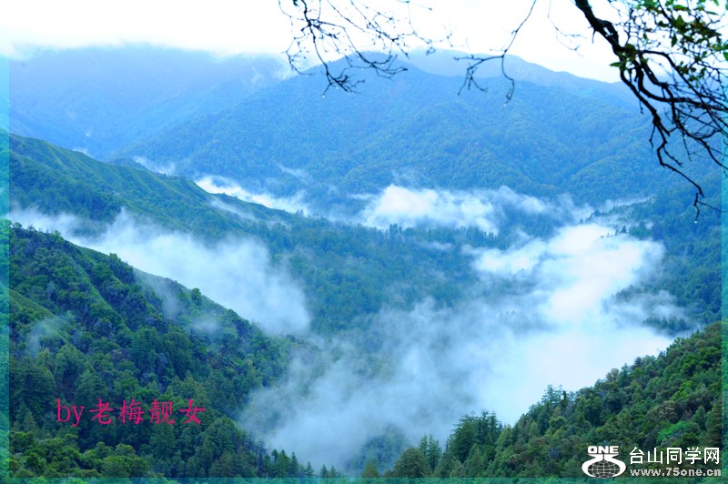 DSC_9171 copy.jpg
