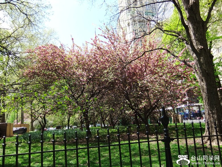 DSCF2056_.jpg