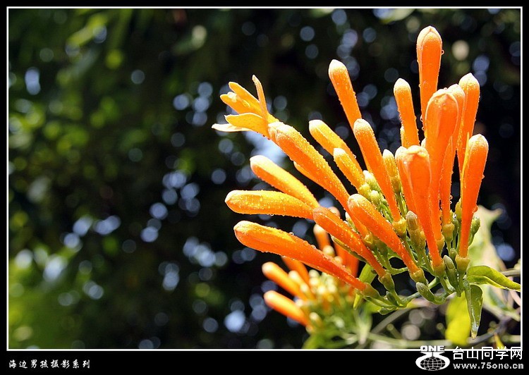 IMG_3364_conew1.jpg