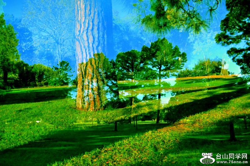 CSC_5053 [800x600].jpg