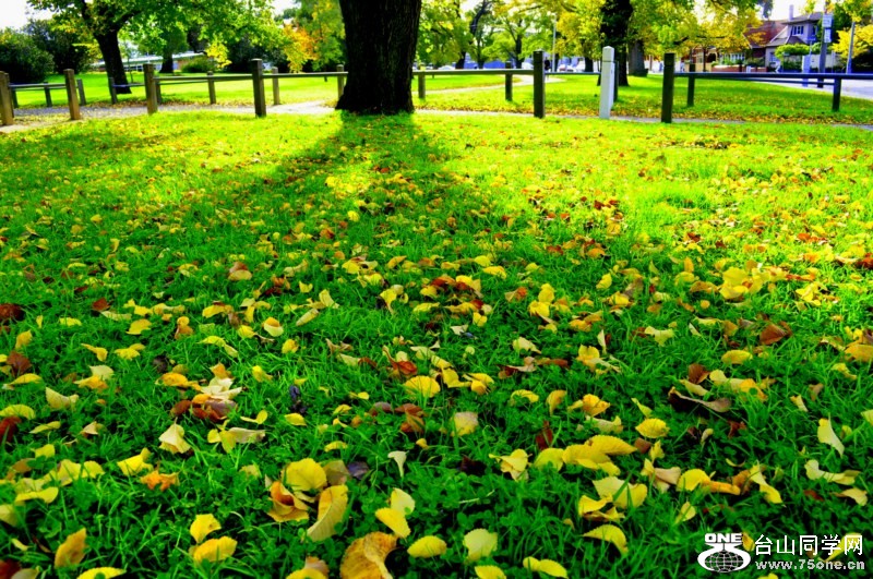 _DSC0128 [800x600].jpg