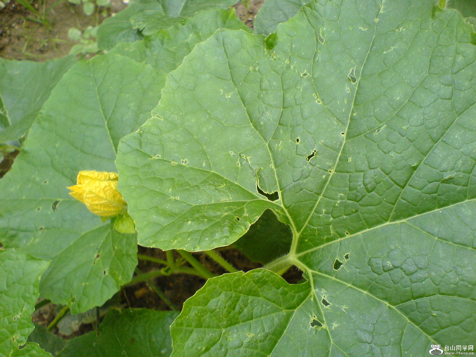 DSC05812.JPG