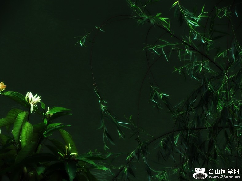 Flower under water.jpg