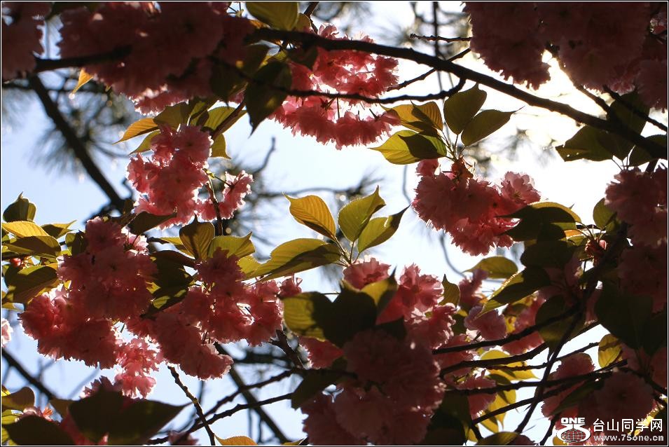 �}�u -IMG_6636aa.jpg