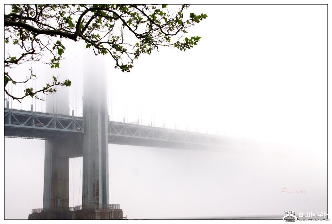 �}�u -IMG_7738cc7.jpg