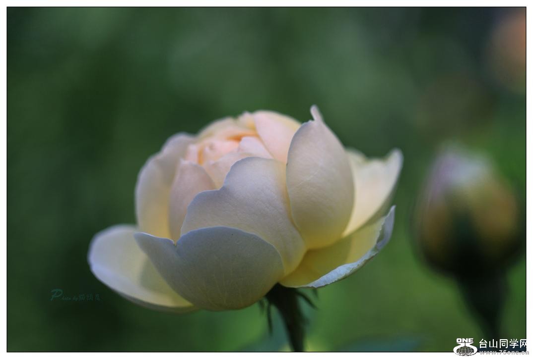 �}�u -IMG_9379cc4.jpg