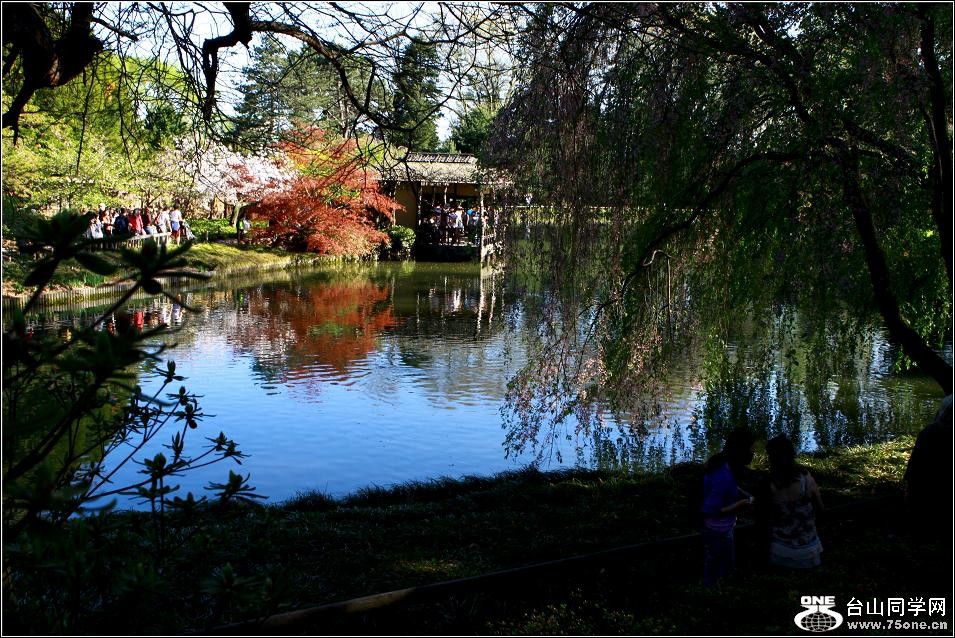 �}�u -IMG_6798aa.jpg